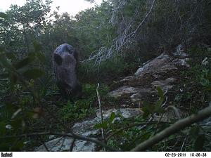 Click image for larger version. 

Name:	מרקוס2PICT0358.JPG 
Views:	310 
Size:	151.1  
ID:	53005