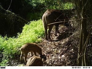 Click image for larger version. 

Name:	oded9PICT0216.JPG 
Views:	225 
Size:	205.1  
ID:	53006