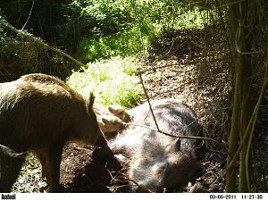 Click image for larger version. 

Name:	oded9PICT0250.JPG 
Views:	226 
Size:	194.3  
ID:	53008