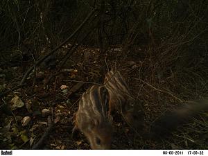 Click image for larger version. 

Name:	PICT0004.JPG 
Views:	225 
Size:	121.6  
ID:	53009