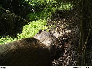 Click image for larger version. 

Name:	PICT0248.JPG 
Views:	263 
Size:	168.2  
ID:	53013