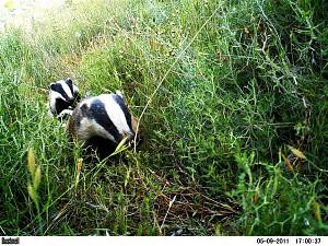 Click image for larger version. 

Name:	גירית.JPG 
Views:	278 
Size:	245.4  
ID:	53017