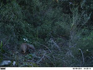 Click image for larger version. 

Name:	2.JPG 
Views:	174 
Size:	161.6  
ID:	53021