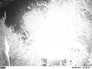 Click image for larger version. 

Name:	PICT0032.JPG 
Views:	215 
Size:	100.3  
ID:	53024