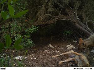 Click image for larger version. 

Name:	PICT0053.JPG 
Views:	211 
Size:	154.1  
ID:	53025