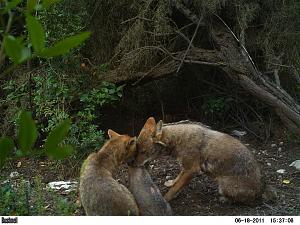 Click image for larger version. 

Name:	PICT0060.JPG 
Views:	482 
Size:	153.8  
ID:	53026