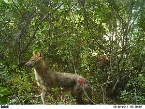 Click image for larger version. 

Name:	PICT0190.JPG 
Views:	233 
Size:	240.6  
ID:	53028