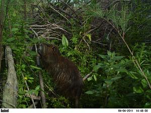 Click image for larger version. 

Name:	PICT2193.JPG 
Views:	214 
Size:	139.7  
ID:	53030