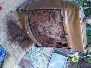 Click image for larger version. 

Name:	seats 031.JPG 
Views:	646 
Size:	158.6  
ID:	53369