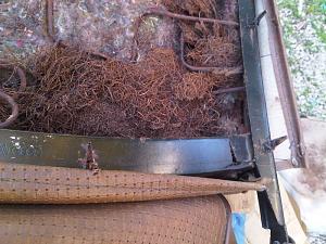 Click image for larger version. 

Name:	seats 033.JPG 
Views:	645 
Size:	167.9  
ID:	53371