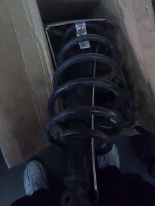 Click image for larger version. 

Name:	טל לוי-סלולרי 0046.jpg 
Views:	429 
Size:	48.7  
ID:	56374