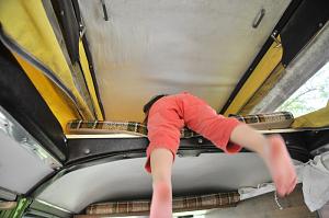 Click image for larger version. 

Name:	camper beetles 003.JPG 
Views:	646 
Size:	173.8  
ID:	56957