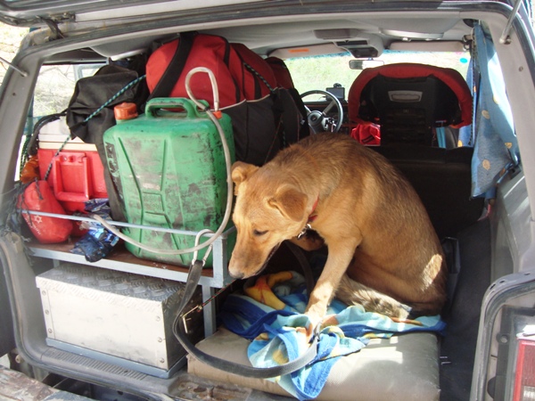 Click image for larger version. 

Name:	cherokee_xj_dog_trunk_4.jpg 
Views:	551 
Size:	150.6  
ID:	57730