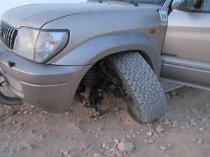 Click image for larger version. 

Name:	ועוד-אחת.jpg 
Views:	453 
Size:	21.0  
ID:	57775