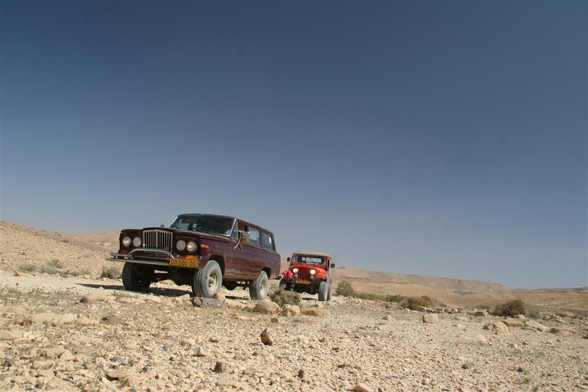 Name:  waggy (Medium).jpg
Views: 240
Size:  112.8 
