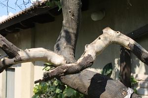 Click image for larger version. 

Name:	IMG_1645.JPG 
Views:	160 
Size:	88.3  
ID:	65098