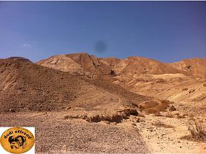 Click image for larger version. 

Name:	שקופית12.JPG 
Views:	122 
Size:	119.3  
ID:	65214
