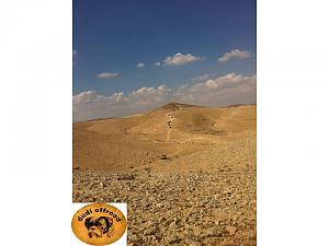 Click image for larger version. 

Name:	שקופית42.JPG 
Views:	120 
Size:	62.3  
ID:	65228