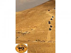 Click image for larger version. 

Name:	שקופית47.JPG 
Views:	134 
Size:	66.9  
ID:	65229