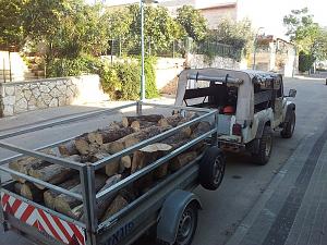 Click image for larger version. 

Name:	עצים מהיער.jpg 
Views:	625 
Size:	396.9  
ID:	66702
