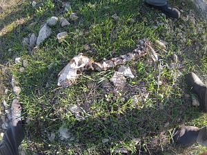 Click image for larger version. 

Name:	GOPR0431.jpg 
Views:	127 
Size:	411.4  
ID:	66780