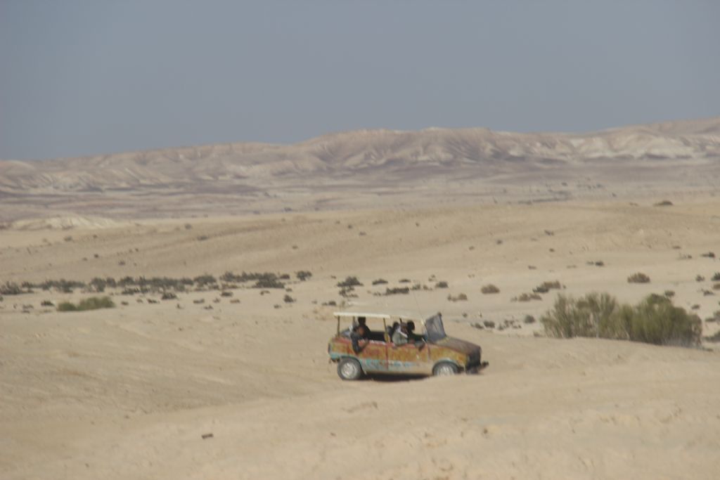 Name:  2371950_(65).JPG
Views: 142
Size:  45.5 