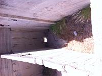 Click image for larger version. 

Name:	ImageUploadedByTapatalk 21364922126.504420.jpg 
Views:	108 
Size:	186.2  
ID:	72097