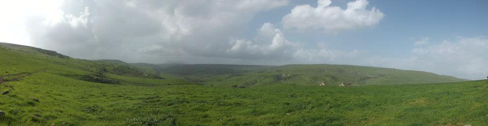 Name:  תמונה.jpg
Views: 356
Size:  28.8 