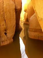 Click image for larger version. 

Name:	לבן.jpg 
Views:	110 
Size:	68.0  
ID:	74630