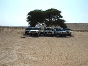 Click image for larger version. 

Name:	DSCF0517.JPG 
Views:	125 
Size:	482.5  
ID:	74634