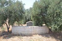 Click image for larger version. 

Name:	DSC_8584.jpg 
Views:	142 
Size:	218.9  
ID:	78105