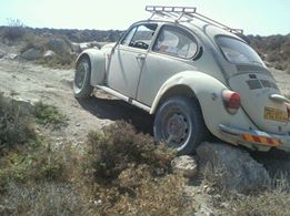 Name:  1238005_10151643288744227_614757674_n.jpg
Views: 417
Size:  14.0 