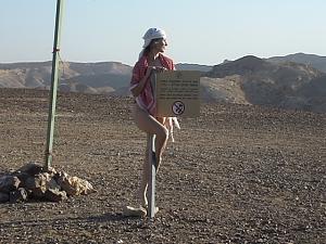 Click image for larger version. 

Name:	3706.jpg 
Views:	676 
Size:	127.6  
ID:	80663