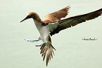 Click image for larger version. 

Name:	photo 8.jpg 
Views:	259 
Size:	83.1  
ID:	83576