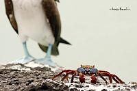 Click image for larger version. 

Name:	photo 7.jpg 
Views:	245 
Size:	120.0  
ID:	83582