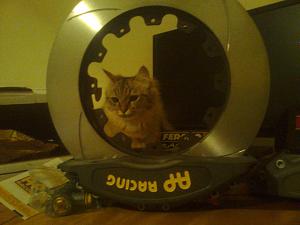 Click image for larger version. 

Name:	0828.jpg 
Views:	184 
Size:	90.7  
ID:	84436