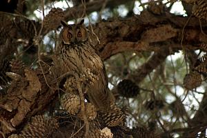 Click image for larger version. 

Name:	.JPG 
Views:	233 
Size:	205.0  
ID:	84520