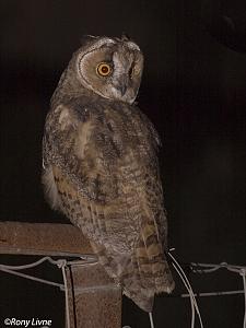 Click image for larger version. 

Name:	    copy.jpg 
Views:	196 
Size:	303.9  
ID:	84541