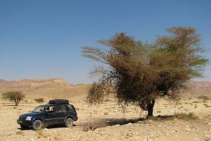 Click image for larger version. 

Name:	XL7  .JPG 
Views:	249 
Size:	442.5  
ID:	84799