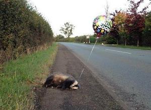 Click image for larger version. 

Name:	get well.JPG 
Views:	230 
Size:	47.3  
ID:	85701