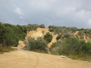 Click image for larger version. 

Name:	1.jpg 
Views:	207 
Size:	315.0  
ID:	85733