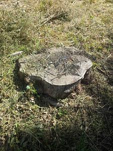 Click image for larger version. 

Name:	uploadfromtaptalk1396339286537.jpg 
Views:	682 
Size:	170.0  
ID:	86005