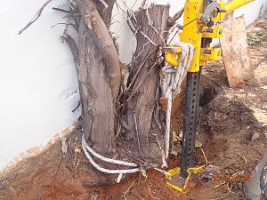 Click image for larger version. 

Name:	P3081000_S.jpg 
Views:	746 
Size:	483.5  
ID:	86006