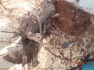 Click image for larger version. 

Name:	P3080998_S.jpg 
Views:	502 
Size:	552.0  
ID:	86007