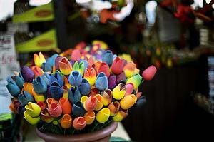 Click image for larger version. 

Name:	  .jpg 
Views:	316 
Size:	181.7  
ID:	86186