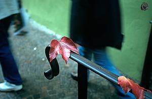Click image for larger version. 

Name:	 1.jpg 
Views:	328 
Size:	183.6  
ID:	86196
