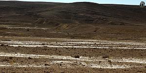 Click image for larger version. 

Name:	avner-baruch-Adad-0936.jpg 
Views:	287 
Size:	126.7  
ID:	86547
