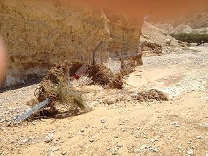 Click image for larger version. 

Name:	IMG_0525.JPG 
Views:	283 
Size:	428.6  
ID:	87110