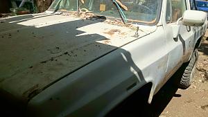 Click image for larger version. 

Name:	DSC_0008.JPG 
Views:	329 
Size:	73.8  
ID:	88814