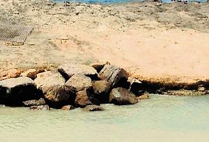 Click image for larger version. 

Name:	YNET.jpg 
Views:	260 
Size:	102.8  
ID:	90171